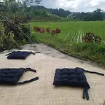 Le Pandai