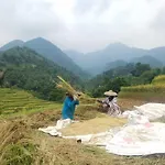 Le Pandai