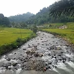Le Pandai