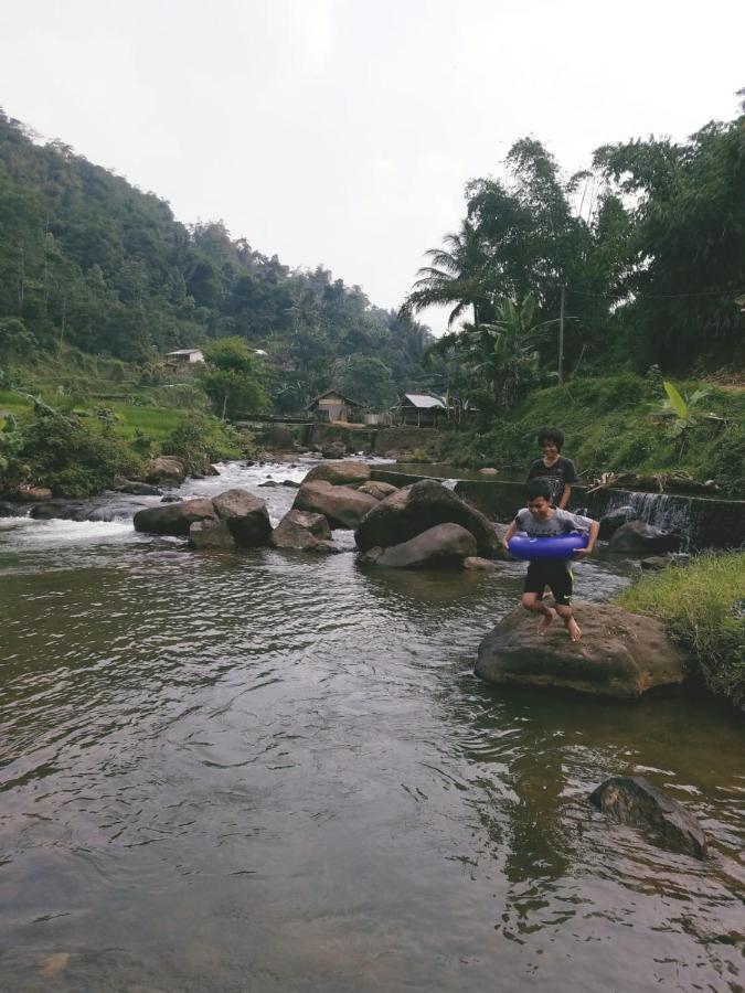 Le Pandai